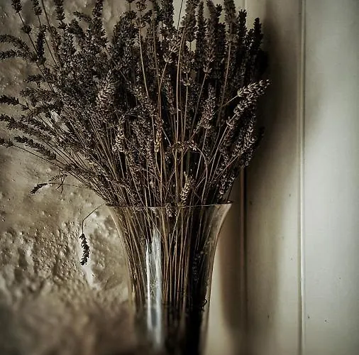 Lilyum - Tas Ev Panzió