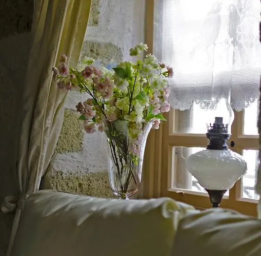 Lilyum - Tas Ev Alacati